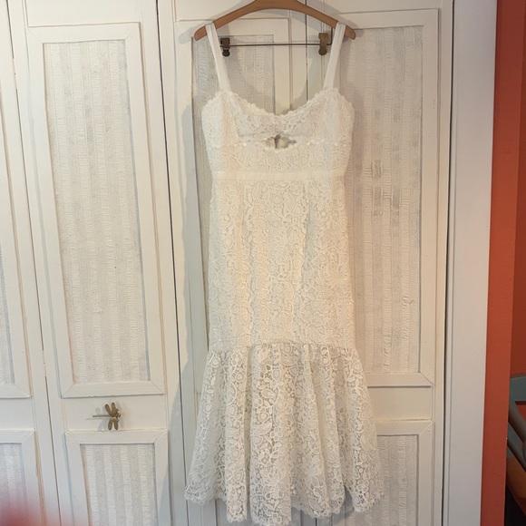 Anthropologie Saylor Malina Sleeveless Lace Cutout Midi Dress size M NWOT - Picture 5 of 10